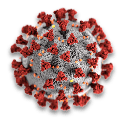 Coronavirus Lo que debes saber sobre el Covid 19